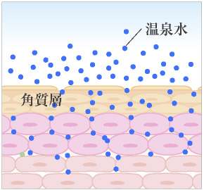潤うのにすぐにさらさらに！<br />
「温泉水の浸透力」