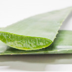 アロエベラ葉エキス